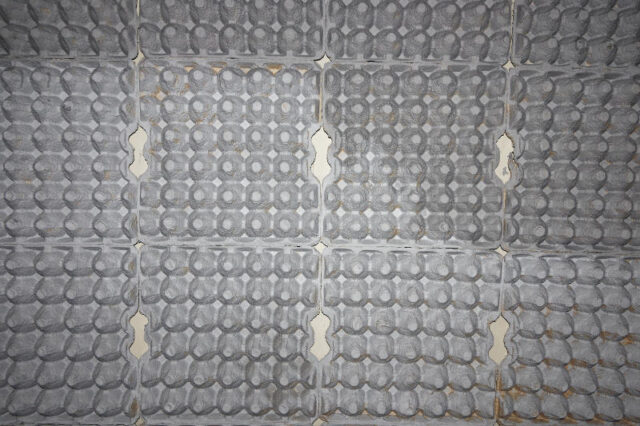 egg cartons